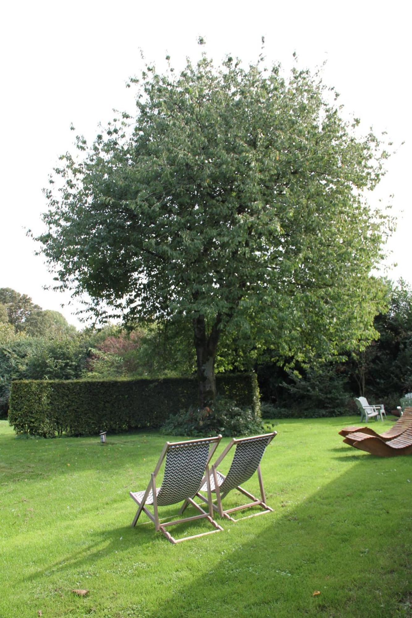 Familiehuis De Betuwe Met Prive Kunstgras Tennisbaan En Sauna Villa Erichem Esterno foto
